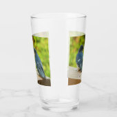 Baby Barn Swallows Nature Bird Fotografy Glas (Rechts)