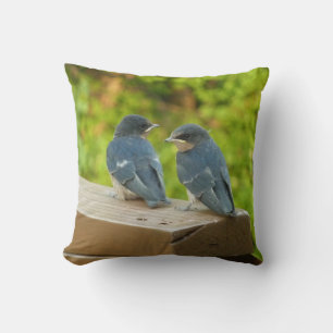 Baby Barn Swallows Nature Bird Fotografy Kissen