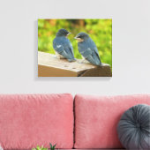 Baby Barn Swallows Nature Bird Fotografy Leinwanddruck (Insitu (Wohnzimmer))