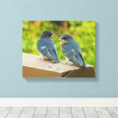 Baby Barn Swallows Nature Bird Fotografy Leinwanddruck (Insitu (Holzboden))