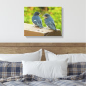 Baby Barn Swallows Nature Bird Fotografy Leinwanddruck (Insitu (Schlafzimmer))