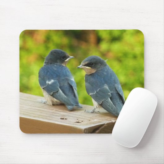 Baby Barn Swallows Nature Bird Fotografy Mousepad (Mit Mouse)
