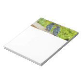 Baby Barn Swallows Nature Bird Fotografy Notizblock (Rotiert)