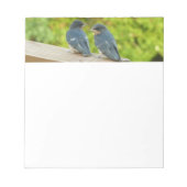 Baby Barn Swallows Nature Bird Fotografy Notizblock (Vorderseite)