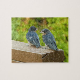 Baby Barn Swallows Nature Bird Fotografy Puzzle