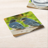 Baby Barn Swallows Nature Bird Fotografy Rechteckiger Pappuntersetzer (angewinkelt)