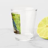 Baby Barn Swallows Nature Bird Fotografy Schnapsglas (Rechts)