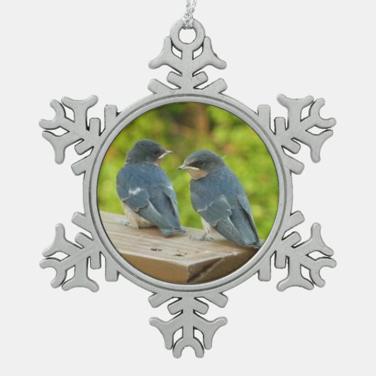 Baby Barn Swallows Nature Bird Fotografy Schneeflocken Zinn-Ornament (Vorderseite)