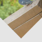 Baby Barn Swallows Nature Bird Fotografy Seidenpapier (Ausschnitt)