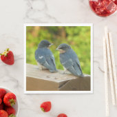 Baby Barn Swallows Nature Bird Fotografy Serviette (Beispiel)