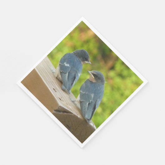 Baby Barn Swallows Nature Bird Fotografy Serviette (Ecke)