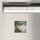 Baby-Bartagame Magnet (In Situ (Geschirrspüler))
