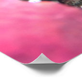 Baby Batfish Poster (Ecke)