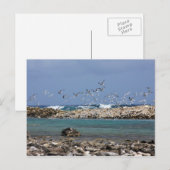 Baby Beach Postkarte (Vorne/Hinten)