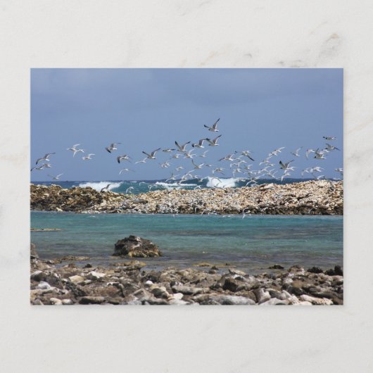 Baby Beach Postkarte (Vorderseite)