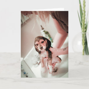 Baby Beagle Bathtime Karte