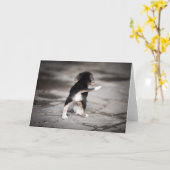 Baby Beagle Bottom Karte (Gelbe Blume)