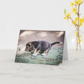 Baby Beagle und Leaf Karte (Gelbe Blume)