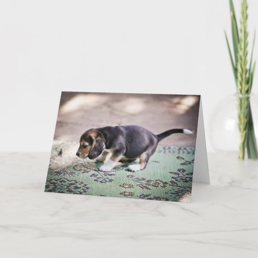 Baby Beagle und Leaf Karte (Vorderseite)