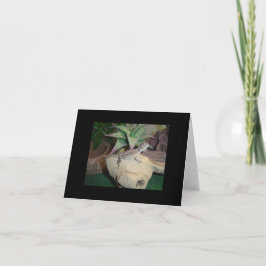 Baby Bearded Dragon Blank Notecard Karte