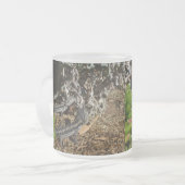 Baby Bearded Dragon Lizards, Mattglastasse (Vorderseite Links)