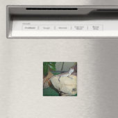 Baby Bearded Dragon Magnet (In Situ (Geschirrspüler))