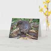 Baby Beaver Foto Karte (Gelbe Blume)