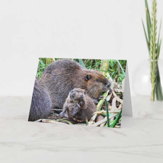 Baby Beaver und Foto Karte (Vorderseite)