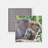Baby Beaver und Foto Magnet (Vorderseite/Rückseite)
