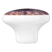 Baby-beklagentauben-Vogel-Tier-Tier-Nest-Griff Keramikknauf (Seitenansicht)