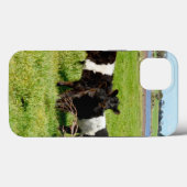 Baby Belted Galloway Calves, iPhone 13 Case (Rückseite (Horizontal))