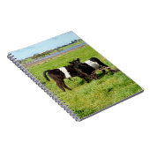 Baby Belted Galloway Calves, Notebook Notizblock (Rechte Seite)