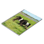Baby Belted Galloway Calves, Notebook Notizblock (Linke Seite)