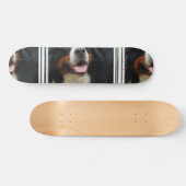 Baby Bernese Gebirgshund Skateboard (Horizontal)