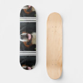 Baby Bernese Gebirgshund Skateboard (Vorderseite)