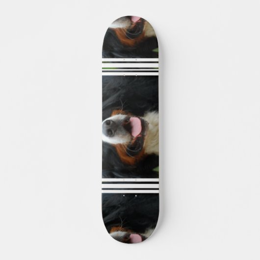 Baby Bernese Gebirgshund Skateboard (Vorne)