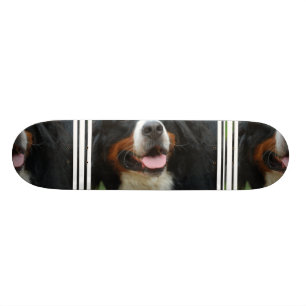 Baby Bernese Gebirgshund Skateboard
