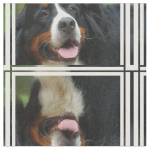 Baby Bernese Gebirgshund Stoff