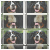 Baby Bernese Gebirgshund Stoff (Muster)