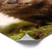 Baby-Biber-Kinderzimmer-Wandkunst-Druck Poster (Ecke)