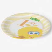Baby Big Bird Geburtstag Pappteller (Schrägansicht)