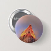 Baby Bird 2 Button (Vorne & Hinten)