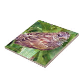 Baby Bird Fliese (Seite)