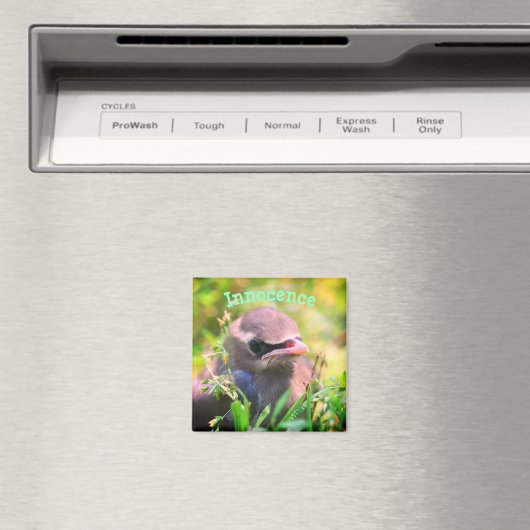 Baby Bird Innocence Inspiration Magnet (In Situ (Geschirrspüler))