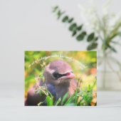 Baby-Bird-inspirierende Handlungen des Kindness-Zi Postkarte (Stehend Vorderseite)