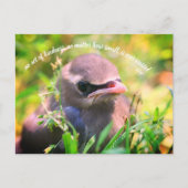 Baby-Bird-inspirierende Handlungen des Kindness-Zi Postkarte (Vorderseite)