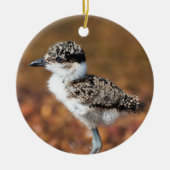 Baby Bird Keramik Ornament (Vorne)