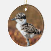 Baby Bird Keramik Ornament (Links)