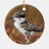 Baby Bird Keramik Ornament (Hinten)