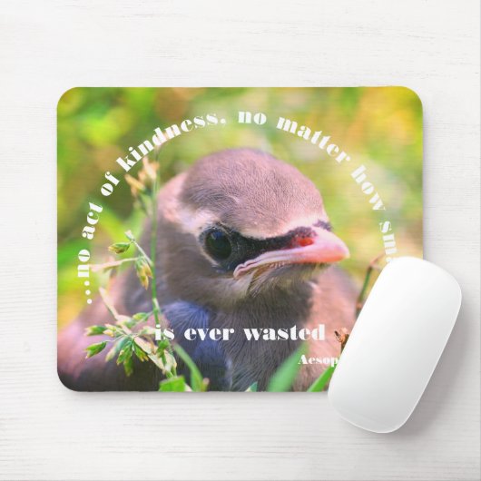 Baby Bird-Kindness-Zitat Inspiration Mousepad (Mit Mouse)